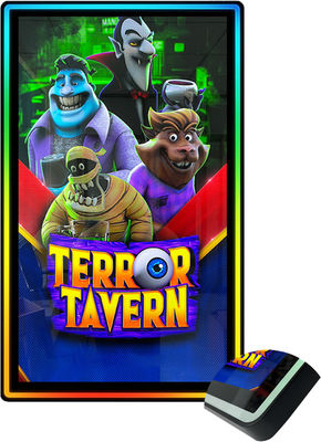 43'' 4k Interactive Gaming Touch Screen with Adjustable LED Bezel and 5ms Response Time
